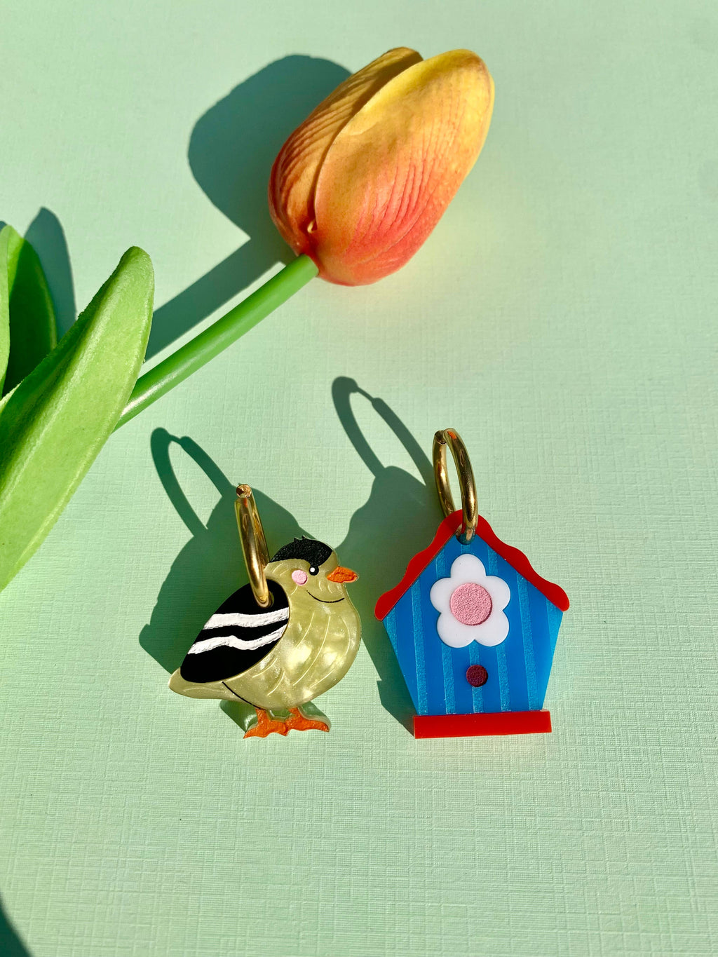 Tweet Retreat Acrylic Birdhouse Earrings-0