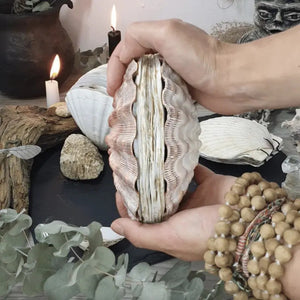 "Thalassa" Handcrafted Seashell Journal