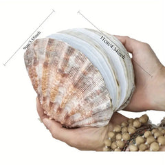 "Thalassa" Seashell Journal