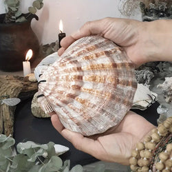 "Thalassa" Handcrafted Seashell Journal width=100 