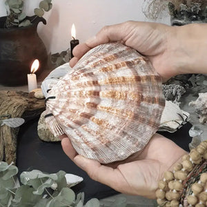 "Thalassa" Handcrafted Seashell Journal