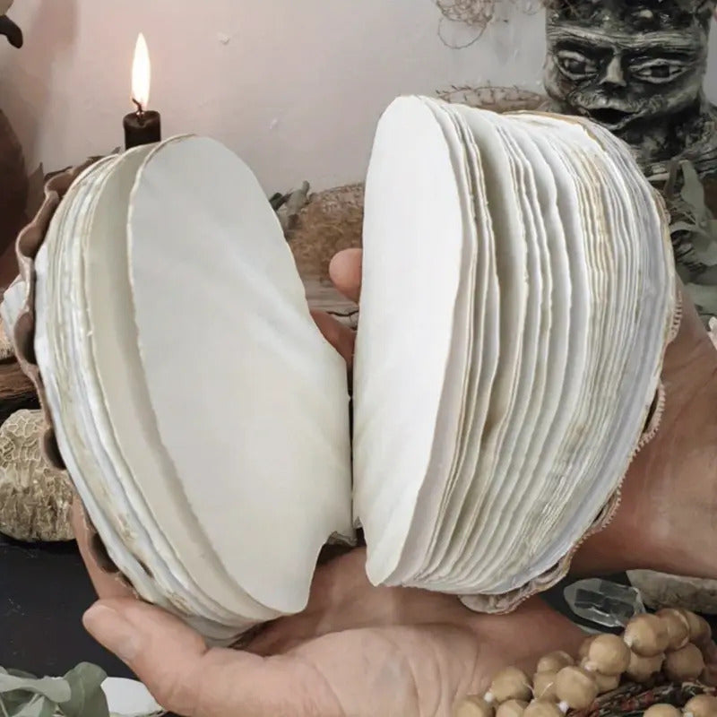 "Thalassa" Handcrafted Seashell Journal