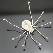 "Arachne" Big Spider Brooch width=100 