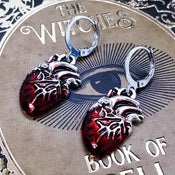 "Cardion" Anatomical Heart Earrings width=100 