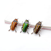 "Coletta" Fun Beetle Brooch width=100 