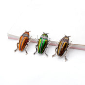 "Coletta" Fun Beetle Brooch width=100 