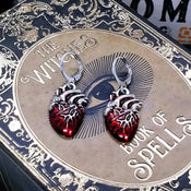 "Cardion" Anatomical Heart Earrings width=100 