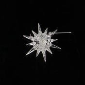 "Verlaine" Starburst Brooch width=100 