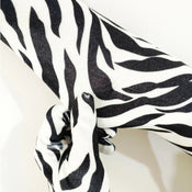 "Luvienne" Fashion Gloves width=100 