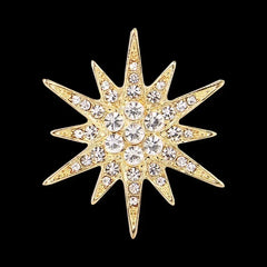 "Verlaine" Starburst Brooch