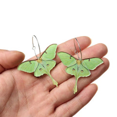 "Ephyra" Butterfly Moth Drops