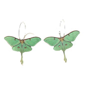 "Susie" Moth Earrings width=100 