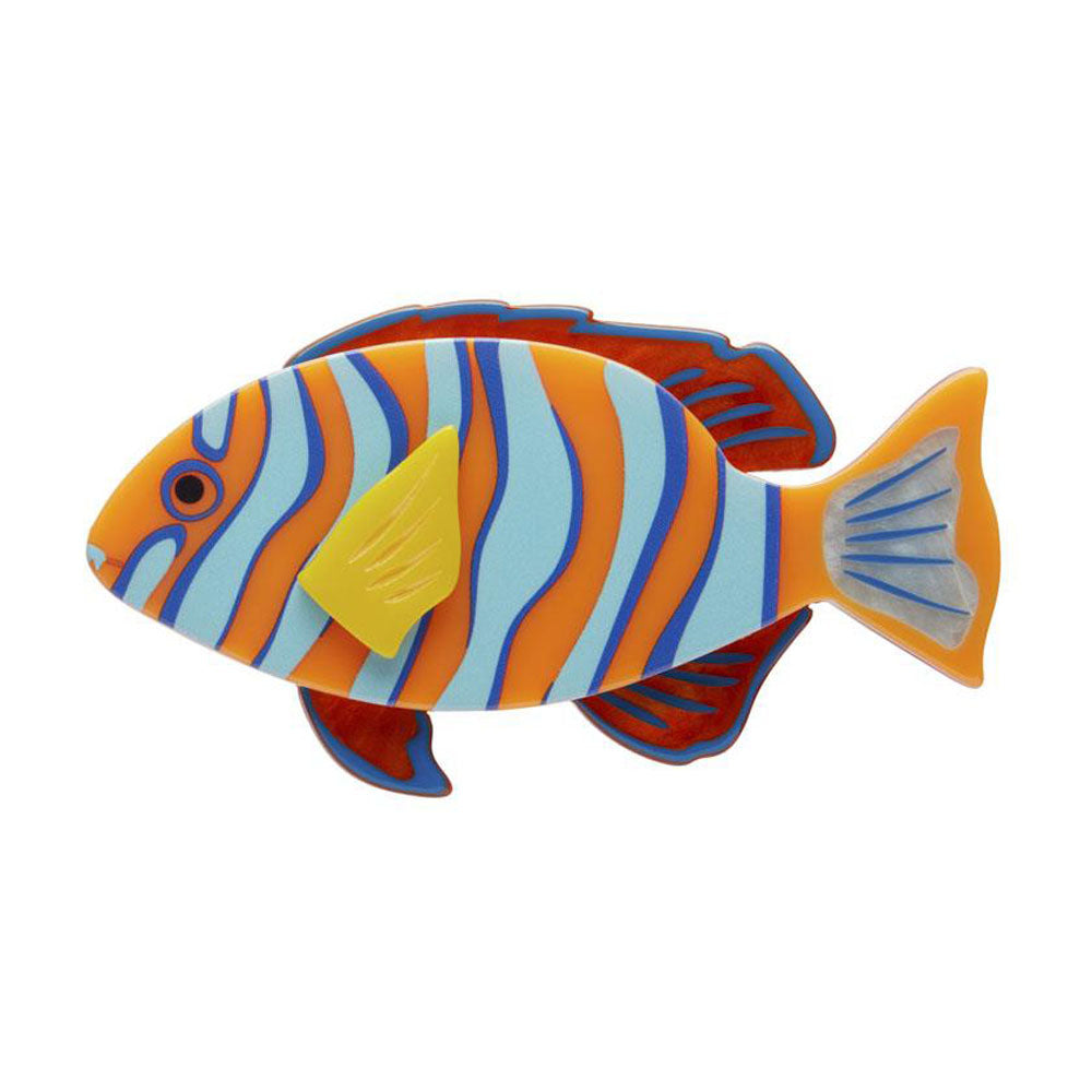 Harlequin Tuskfish Brooch by Erstwilder-0