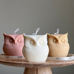 Owl Candle-0