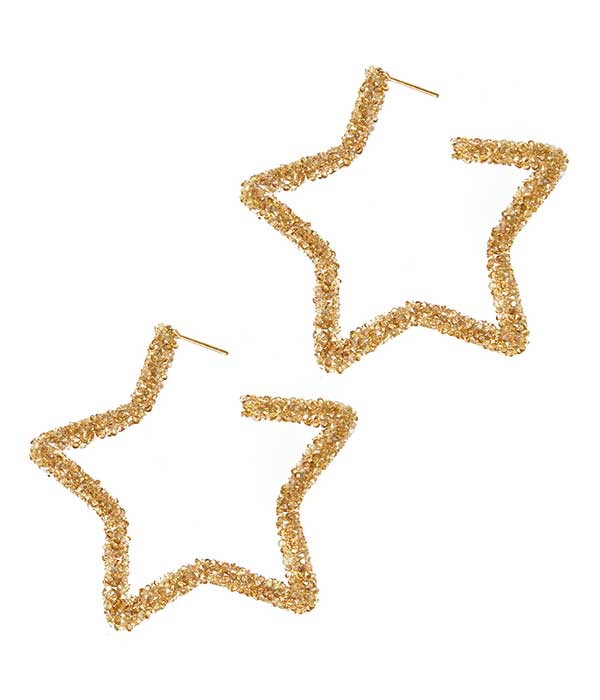 GLITTERING STAR EARRING-0