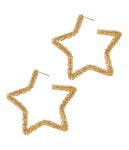 GLITTERING STAR EARRING-0